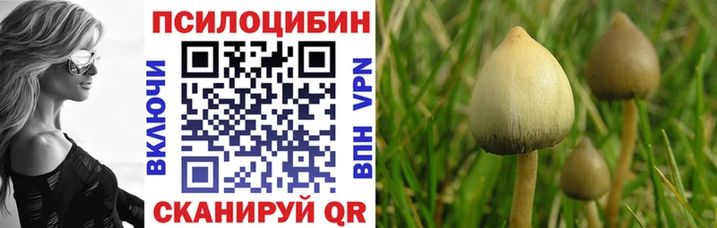 Псилоцибиновые грибы MAGIC MUSHROOMS  Купить закладки  Валдай 