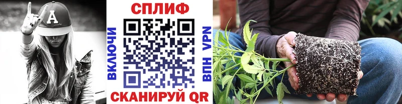Купить закладки  Валдай  Бошки марихуана White Widow 
